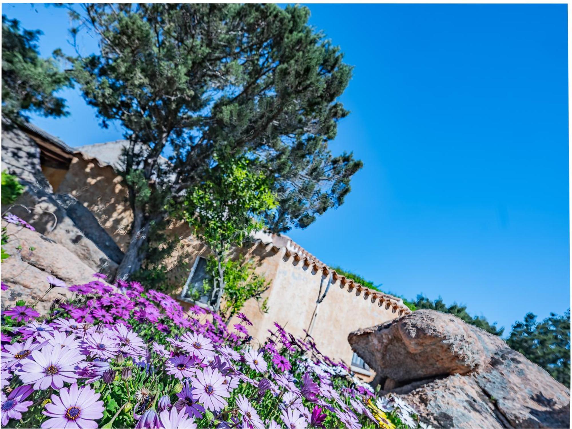 Sardinia Family Villas - Villa Nina With Private Pool Abbiadori Exterior foto